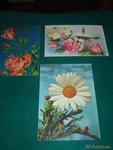3 postales de flores