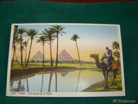 Postal oasis cairo